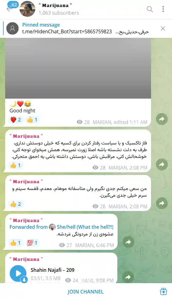 خرید ممبر هیدن تلگرام (اد اجباری)