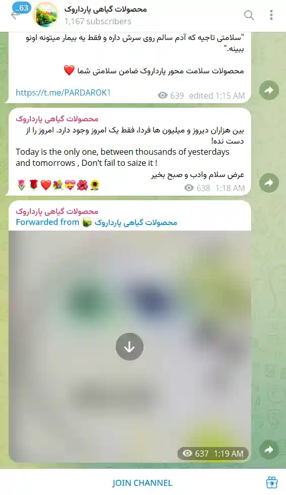 خرید ممبر هیدن تلگرام (اد اجباری)