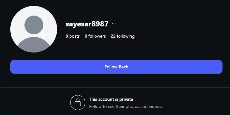 پروفایل فیک لینستاگرام